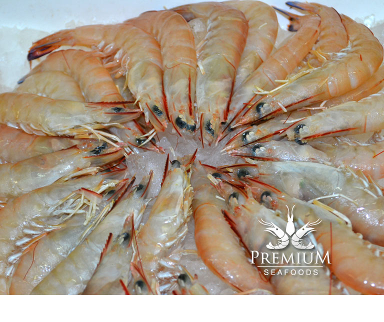 Premium Seafoods Western Australia