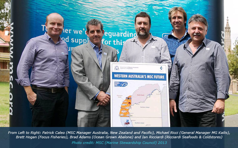 Shark Bay goes for MSC accreditation