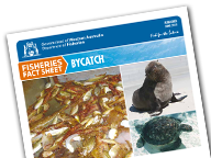 Shark Bay Pra Report Serieswn Fishery ESD 